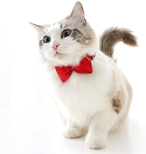 חתול קולרים ילד חתולי חתול קולרים עניבת פרפר וחמוד קסם אדון חתול קולרים משובץ קולרים חתול אספקת כלב