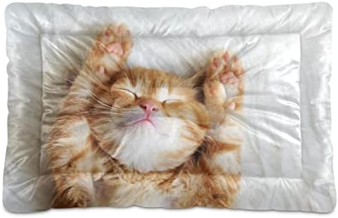 כתום חמוד חתול חתול מיטת חתול מחצלת שינה חתלתול חיות מחמד מחצלת נייד רחיץ החלקה תחתון מיטה לחיות מחמד