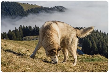 אמבסון אלסקה אסקימואי לחיות מחמד מחצלת עבור מזון ומים, גזעי כלב ערפילי הרים עצי נאמן לוויה, מלבן החלקה