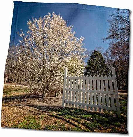 3 תצלום תמונה של עץ קפיץ מתנשא וגדר כלונסאות לבנה - מגבות
