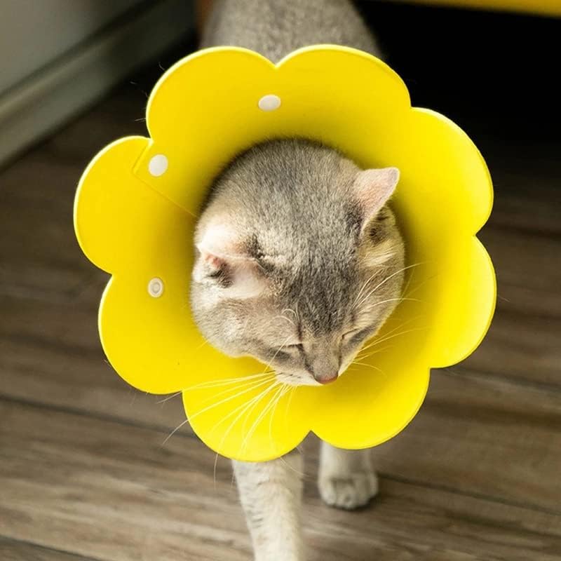 פרח בצורת צווארון חתול פצע ריפוי קונוס מגן אנטי ביס התאוששות קולרים עבור חתלתול גור ספקי