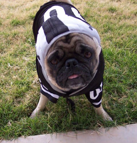 כלב נעלם חמוד על ידי בוטיק הכלבים של לו 4 חלקים תלבושת כדורגל -אקסטרה קטנה