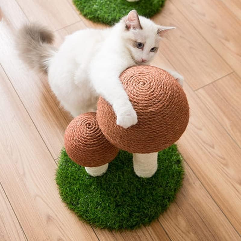 וולנוטה קקטוס לחיות מחמד חתול עץ צעצוע עם כדור גרוד חתול חתלתול טיפוס פטריות דירה