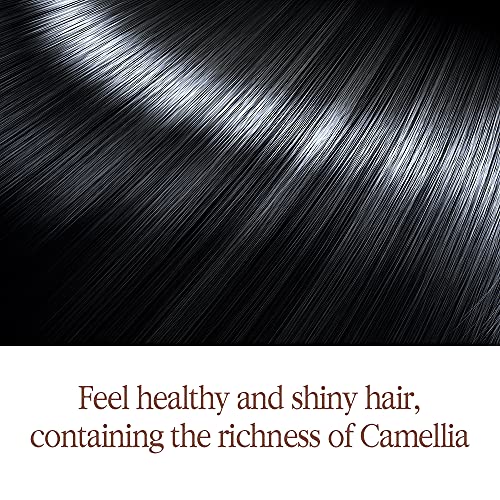 פיונקנג יול טיפול בקרת נשירת שיער צמחים-תה שחור מותסס המכיל מרכיבים עשירים פוליפונול, קטכין - מוצרי נשירת שיער