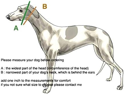 צווארון כלבים מרטינגייל ורצועה שנקבעו לגרייהאונד סלוקי וויפט וגזעים אחרים עם צוואר דומה 2 רחב