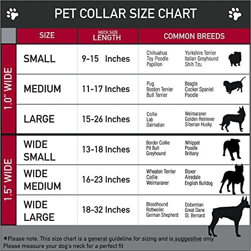 צווארון כלב אבזם צווארון חגורת בטיחות אבזם בזינגה בצבע שחור זהב אדום שחור, 1.5 רוחב - מתאים לצוואר
