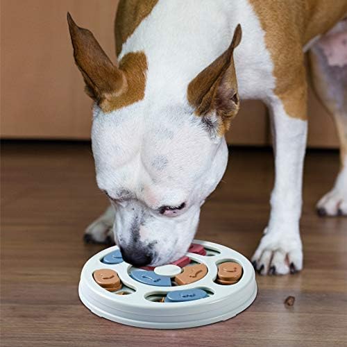 פאסון אינטראקטיבי כלב מזון פאזל צעצוע-לטפל מחלק כלבים איטי מזין להגדיל מנת משכל לחיות מחמד כלב אימון