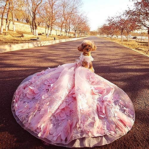 חיות מחמד כלב שמלת נסיכת נגרר חתונה לכלבים קטנים בעבודת יד פרחי רקמת תחרה גור בגדי חצאית פודל