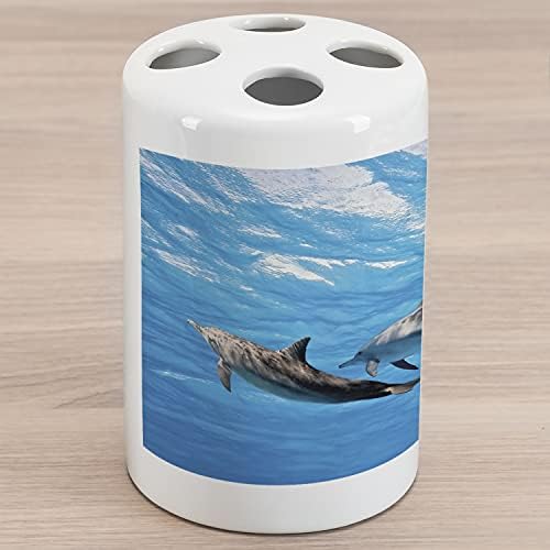 מחזיק מברשת שיניים קרמיקה של אמבסון דולפין, צילום מתחת למים של הדולפינים בשמחה בשחייה של אוקיינוס ​​אוקיינוס