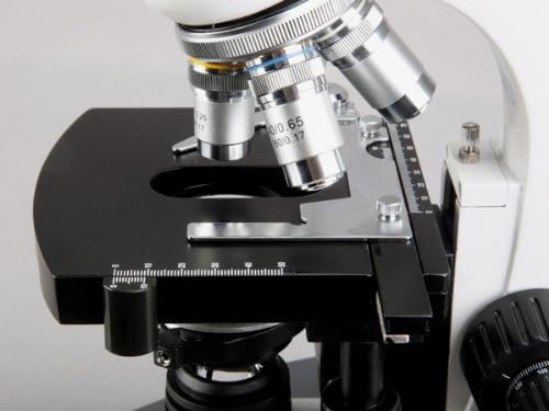 AMSCOPE T360B-5M מיקרוסקופ תרכובת טרינוקולרית דיגיטלית, הגדלה של 40X-2000X, עיניים WF10X ו- WF20X, Brightfield,