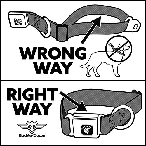 צווארון כלב צווארון בטיחות אבזם אבזם אבזם לוגו טקסט נועז