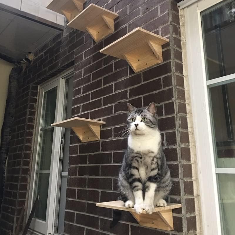 LEPSJGC חתול עץ חתול מסגרת טיפוס לוח חטט