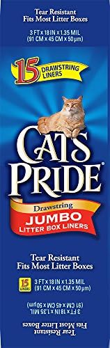 חתול של גאווה שרוך ג ' מבו המלטת תיבת ספינות, 15 לספור