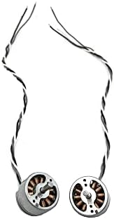 מינוס 33 מכנסי שכבת בסיס משקל בינוני של פרנקוניה - צמר מרינו - תחתיות תרמיות - אין בד מתחדש מגרד