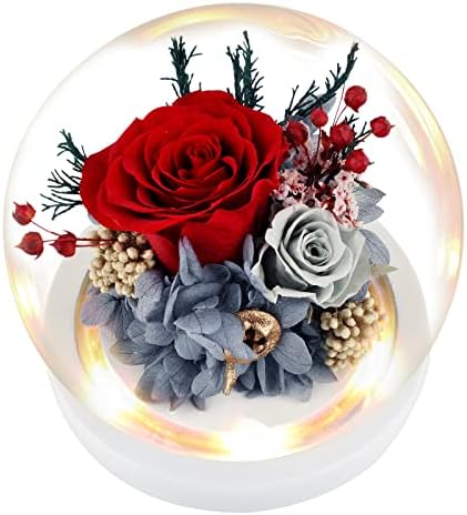 מתנת ורד פרחים נשמרת לנשים אמא, מדליקה פרחים טריים ורד נצחי בכיפת זכוכית, מתנות פרחי יום הולדת,