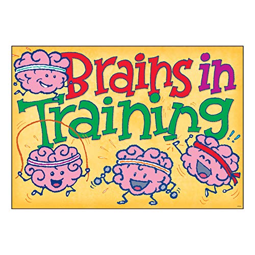 המוח בכרזה אימונים ארגוס®, 13.375 x 19