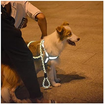 אפוד בטיחות נוברים רתמת כלבים רפלקטיבית רצועת רצועה קומה חבל עגול עגול גדול