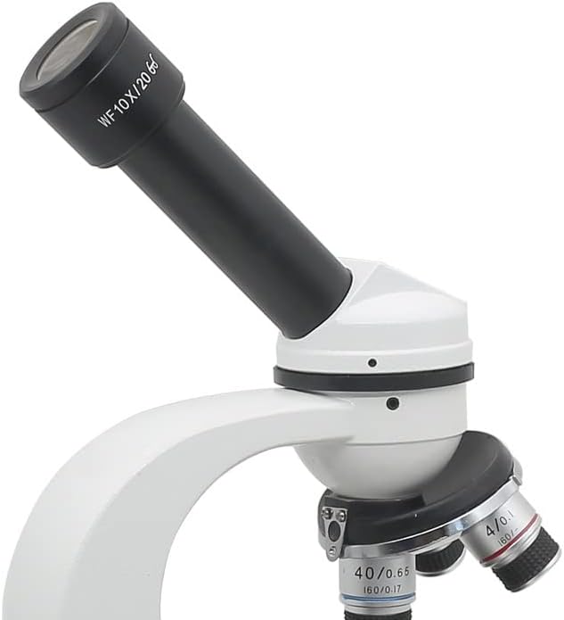 אביזרי מיקרוסקופ עינית מיקרוסקופ נקודת עין גבוהה פי 10 שדה ראייה 20 ממ הרכבה עינית 23.2 ממ עם חומרים