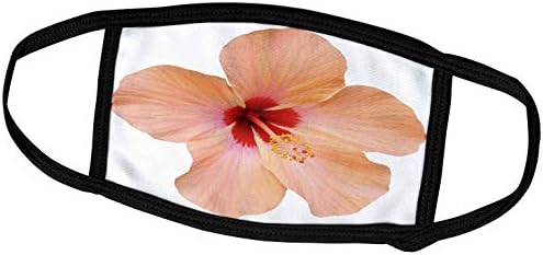 3 רוז אן מארי באו-פרחים-פרח סחלב הוואי ורוד יפה-מסכות פנים