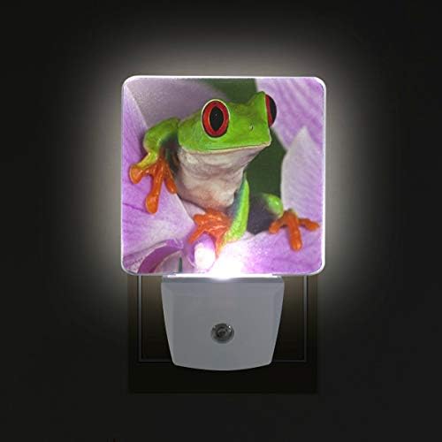 2 מחשב התוספת הוביל לילה אורות עם צפרדע פנסי לילה עם חשכה לשחר חיישן לבן אור מושלם עבור אמבטיה מטבח