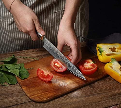 שף ביגסון ג'וטו סכין 67 שכבות VG 10 פחמן גבוה מזויף דמשק פלדה סכיני בישול עם שרף דבש ידית עיצוב