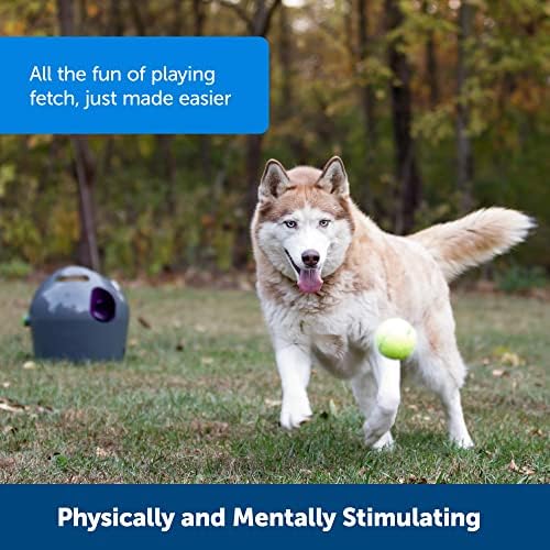 משגר כדורי טניס אוטומטי-זורק כדורי כלבים אינטראקטיבי – טווח מתכוונן-חיישן תנועה-צעצוע פנימי וחיצוני - כוח מזגן