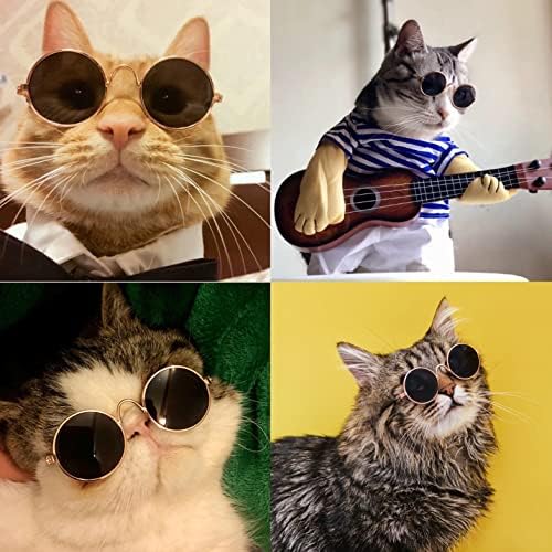 משקפי חיות מחמד מגניבים משקפי שמש חתלתולים לאמנות חיות מחמד משקפיים אביזרים משקפיים חמודות תמונות