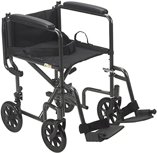 כונן רפואי TR39E-SV-SV כסא גלגלים להובלת פלדה קלה עם מושב 19 , זרועות מלאות קבועות, מסגרת וריד כסף וריפו
