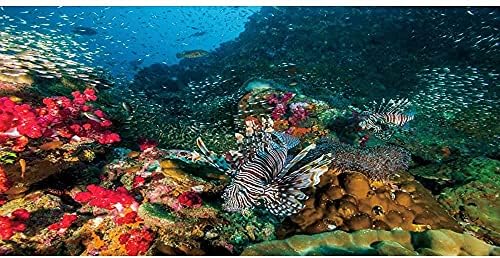 אוורט מתחת למים אלמוגים אקווריום רקע התת דגי טנק רקע ויניל 24 על 12 סנטימטרים