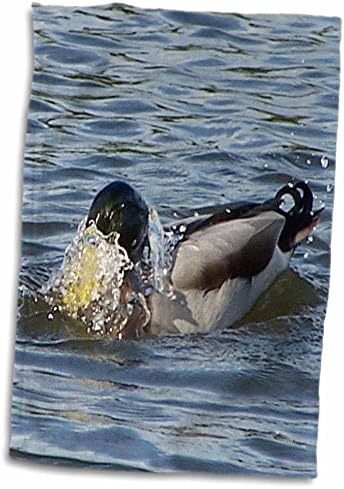 3drose Jackie Popp Birds - זמן אמבטיה ברווז זכר של מאלארד - מגבות