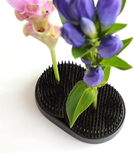 Wazakura Sun and Moon Ikebana Kenzan, מיוצר ביפן, סיכה צפרדע מחזיק פרחים יפני לסידור פרחים