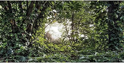 24 * 12 סנטימטרים עמוק יער חממה רקע שמש עצים טרופיים אקווריום רקע יערות גשם זוחלים בית גידול רקע ויניל