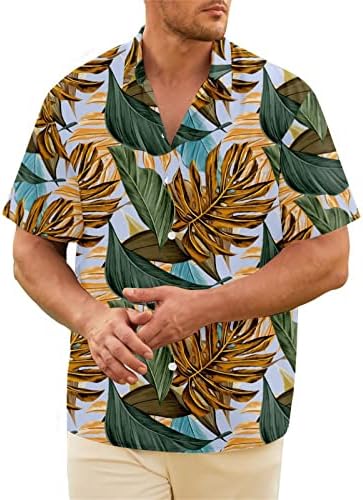 קיץ חולצות לגברים גברים של חופשת הקיץ תיירות חוף אופנה מגמת פנאי 3 ד ארוך שרוול חבילת חולצות עבור