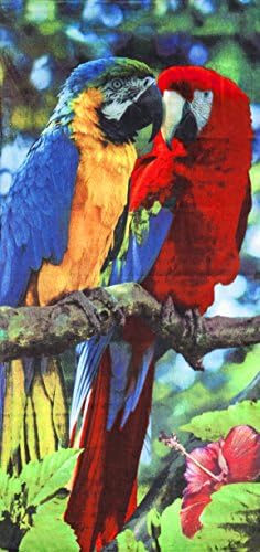 אוסף Bahia מאת Dohler Macaws Velor Brazilian מגבת חוף 30x60 אינץ '