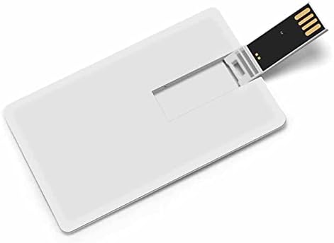 הוקי בארצות הברית בכרטיס אשראי USB כונני פלאש מזיכרון מותאם אישית מתנות תאגידיות מפתח ומנות קידום מכירות