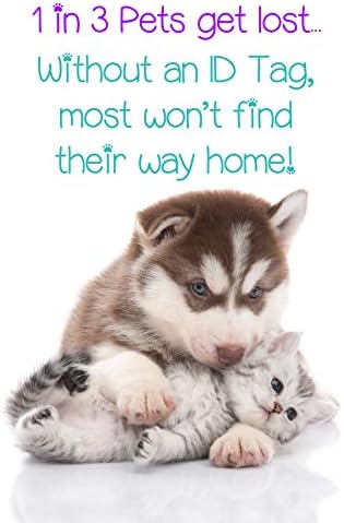 טקסס א & מ אגיס תג זיהוי לחיות מחמד עבור כלבים & חתולים / מורשה רשמית / אישית עבור חיית המחמד שלך