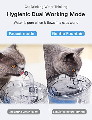 מזרקת מים לחתולים של החתולים מתקן מים לבעלי חיים 61oz/1.8L מזרקת שתיית חיות מחמד אוטומטית שדרוג