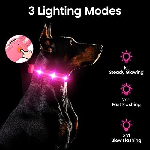צווארון כלבים בהדורה של HZK, צווארון זוהר LED עם USB נטען מואר ומואר, מהבהב צווארון עמיד למים, 4 צבעים