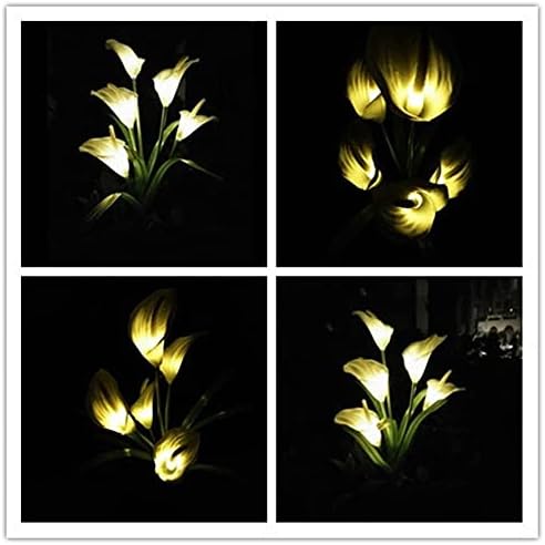 SDGH אור חיצוני חיצוני שושן חרצית חרצית פרחים מנורת מדשאה לנתיב חצר דרך נוף נוף מנורת פרחי גינה דקורטיבית