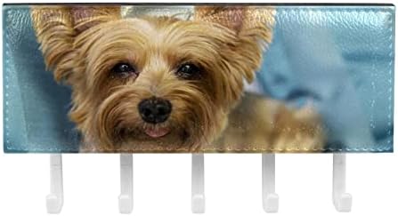 חמוד קטן כלב מתלה ארגונית עם 5 ווי קיר אמבטיה מטבח מדף מדף רב תכליתי אחסון מדף