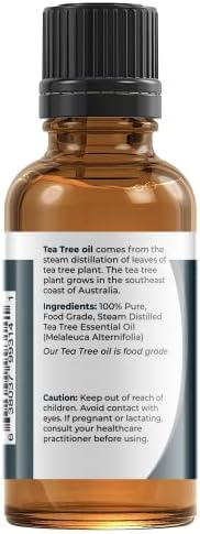ויווה דוריה עץ תה אוסטרלי טהור שמן אתרי, לא מדולל, כיתה מזון, 30 מל