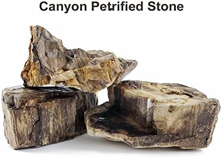 לייפגארד קניון מאובן אקווריום אבן קטן גודל אבנים 42 קילו מקרה כמות