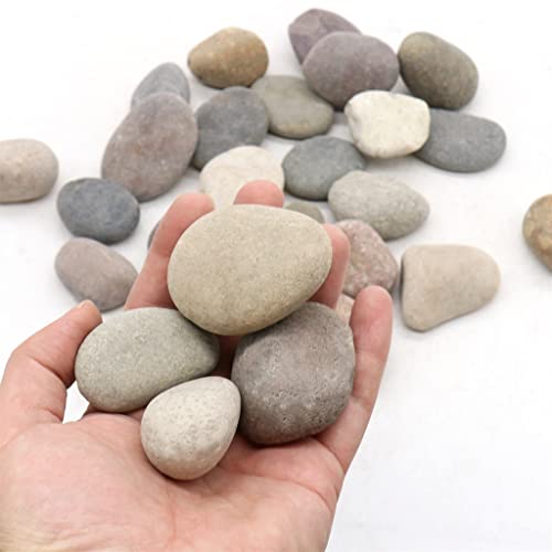 סלעים רב צבעוניים 1 - 2 אינץ', 5 פאונד. של טבעי לא מלוטש אבן חלוקי לצמחים, גנים, רוק ציור, גינון,