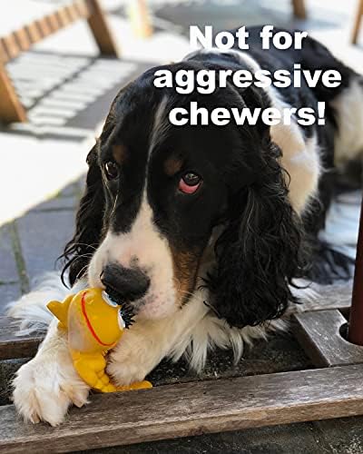 זחל חושי - צעצועי כלבים חורקים - גומי טבעי רך - גורים - כלבים קטנים וכלבים בינוניים - תואם את אותם