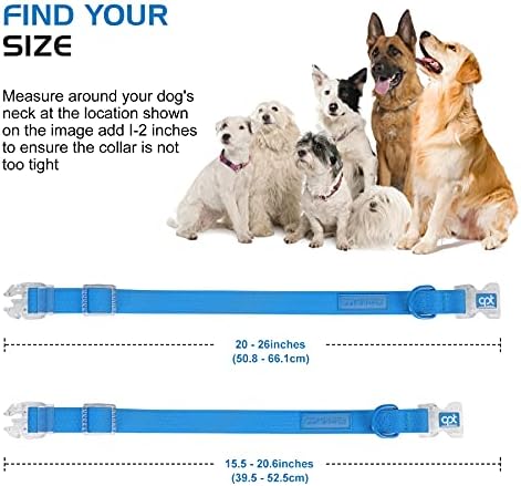 צווארון כלבים של Compapet PVC עם אבזם בטיחות, צווארונים עמידים מתכווננים לכלבים גדולים ובינוניים, צווארוני כלבים