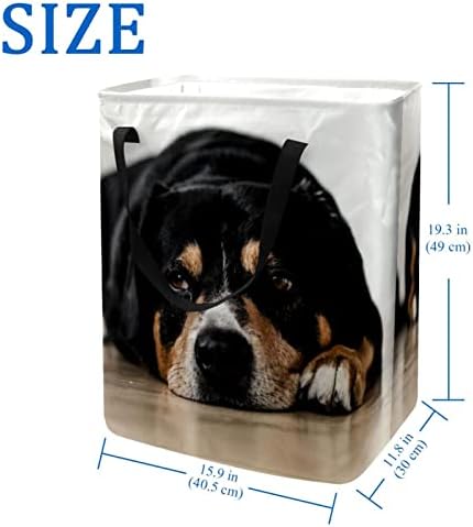 סל הכביסה המתקפל בהדפס כלב עצלן מצחיק, סלי כביסה עמידים למים 60 ליטר אחסון צעצועי כביסה לחדר שינה בחדר האמבטיה