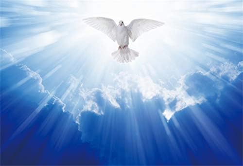 ליאופובה 7 על 5 רגל ויניל רקע ישו המשיח קרני אור קדושות יונה באוויר עם כנפיים פתוחות לרווחה רקע צילום