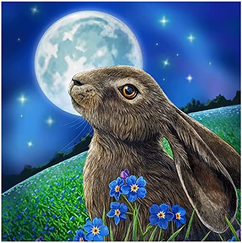 רוסופי 5D ארנב ערכת ציור יהלומים למבוגרים חיות אחו של ירח מבוגר יהלום מלא יהלום עגול DIY מלאכתיות רקמה לעיצוב