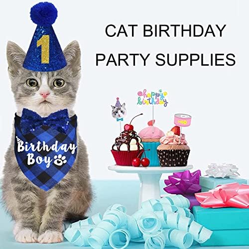 חתול יום הולדת ספקי צד, משובץ חתול חתלתול יום הולדת ילד בנדנות עם חתול יום הולדת כובע חתול עניבת