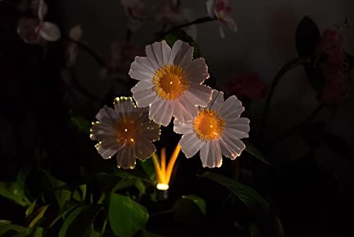 Epicgadget Solar גן פרחים אורות סולאריים - LED חיצוני פרחים אטומים למים גן גן אור דקורטיבי